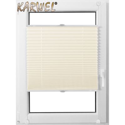 Roleta Karwel mini plisa premium 61 x 150 PP01