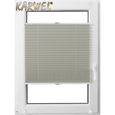 Roleta Karwel mini plisa premium 67x150 PP06