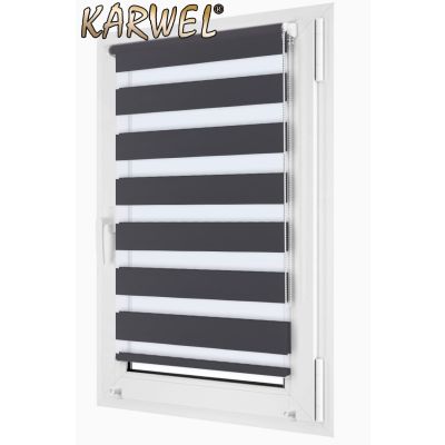 Roleta Karwel mini 67x150 DNP6