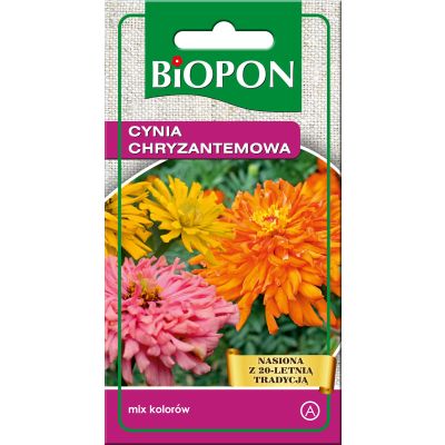 Cynia wytworna chryzantemowa nasiona mieszanka 1 g Biopon
