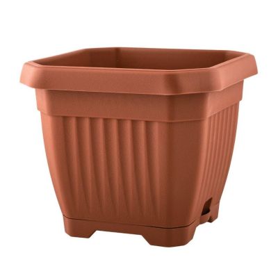 GALICJA DONICZKA  OCTAGON Z/P 25x25 25175 TER