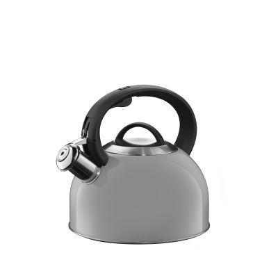 GALICJA Czajnik nierdzewny AYDEN 2,2l 35235 szary